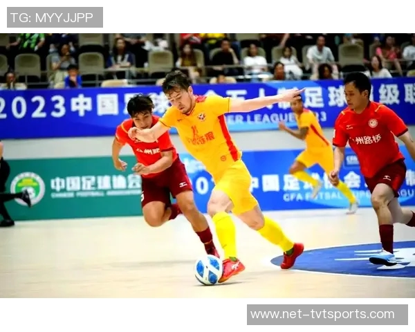 足球比赛现在的热潮与未来发展趋势分析